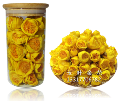金花茶冻干花1